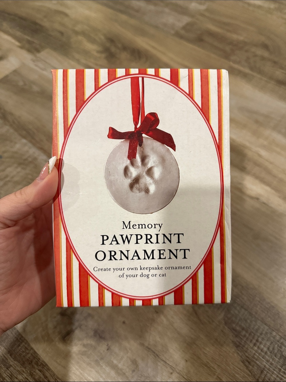 Memory Pawprint Ornament Kit - Red and White
